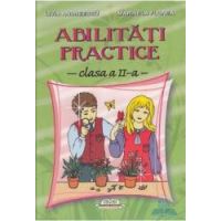 Abilitati practice clasa 2 - Livia Andreescu Marinela Florea