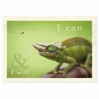 Carte postala - Cameleon | Chic mic