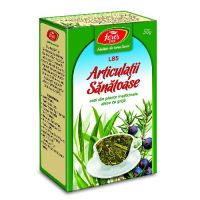 Ceai Antireumatic 50gr Fares