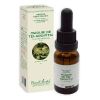 Concentrat Muguri De Tei Argintiu 15ml PlantExtrakt