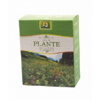 Ceai Angelica 50g Stefmar