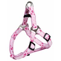 Ham Mod Rose 40-50 cm 15 mm