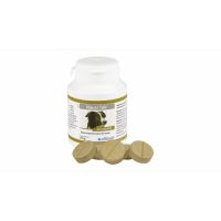 Nausi Tab, 20 tablete - 110 g