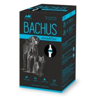 Bachus Joints Flexi, 60 tablete