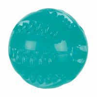 Jucarie Minge Termoplastica Dentafun Plutitor 6 cm