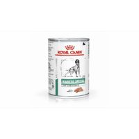 Royal Canin Diabetic Special Low Carbohydrate Dog conserva 410 g