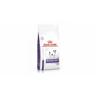 Royal Canin Neutered Adult Small Dog, 3.5 kg