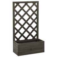 Jardiniera cu spalier