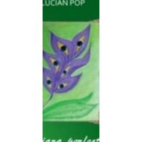 Amiaza Perfecta - Lucian Pop