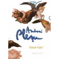 Despre Ingeri ed. De Lux - Andrei Plesu