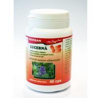 Lucerna 300mg 40cps Favisan