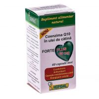 Coenzima Q10 Forte Plus 60mg 40cps - Hofigal
