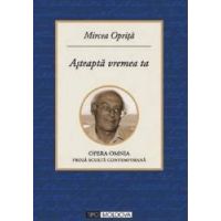 Asteapta vremea ta - Mircea Oprita