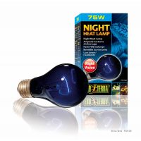 Bec Exo Terra Night Heat 75W