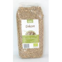 Grau Einkorn eco-bio 500g - Dragon Superfoods