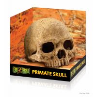 Decor pentru terariu Exo Terra Primate Skull 14.2x16.2x16.2cm