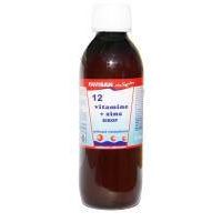 SIROP 12 VITAMINE SI ZINC, 250ml - Favisan