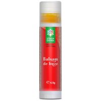 BALSAM BUZE HIDRATANT NATURAL CU CATINA 4,5g, Steaua Divina