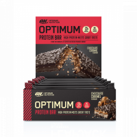 ON Optimum Protein Bar 10x60 g