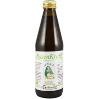 Basenkraft Original, eco-bio, 330 ml Hildegard von Bingen