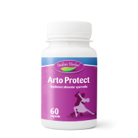 Arto Protect 60 Capsule - Indian Herbal