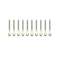 Pivoti Endodontici Titan Prima, lungime L, grosime 3, 10 buc