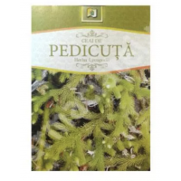 Ceai de Pedicuta, 50g - Stef Mar