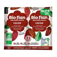 Budinca de cacao, eco-bio, 2 x 5.5 g, Nat-ali