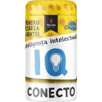 Inteligenta intelectuala IQ Conecto