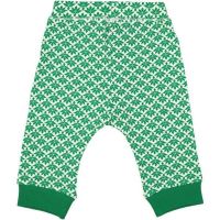 Pantaloni bumbac organic VERDE/ALB - Coqenpate