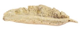 Platou Feather, 25x10x3 cm, poliston, auriu