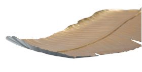 Platou decorativ Leaf, Mauro Ferretti, 55x18x2 cm, fier, auriu