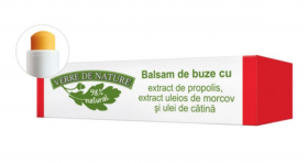 Balsam Buze cu Propolis 4.8g - MANICOS