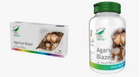 Agaricus Blazei, 30cps si 60cps - MEDICA 30 capsule