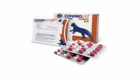 Condrovet Force HA pisica, 45 capsule