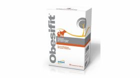 Obesifit, 32 tablete