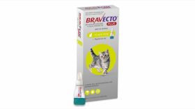 Bravecto Plus Spot On Cat 112.5 mg (1.2 - 2.8 kg), 1 pipeta