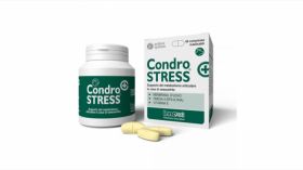 CondroSTRESS+, 60 tablete