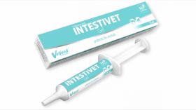 INTESTIVET Gel, 15 ml