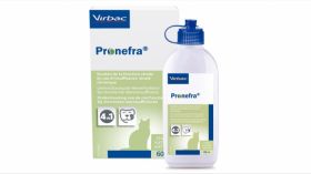 Pronefra, 60 ml