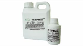 VITA B COMPLEX 100 ml