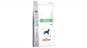 Royal Canin Dental Dog Dry 6 Kg