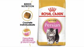 Royal Canin Persian Kitten hrana uscata pisica junior, 10 kg