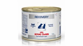 Royal Canin Recovery Dog Cat 195 g