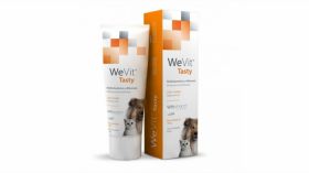 WEVIT TASTY 100 GR