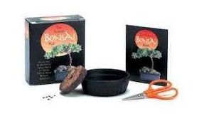 The Mini Bonsai Kit | Robert W. King