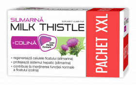 Silimarina Milk Thistle + Colina, 120 capsule, Zdrovit