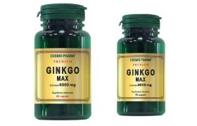 Ginkgo Max, 6000mg - Cosmo Pharm 60 capsule