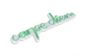 Decoratiune luminoasa LED, Carpe Diem, Benzi flexibile de neon, DC 12 V, Verde