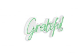 Decoratiune luminoasa LED, Grateful, Benzi flexibile de neon, DC 12 V, Verde